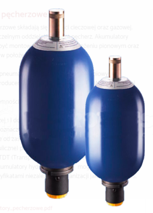 akumulatory pęcherzowe wygląd