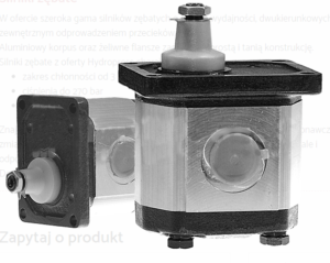 wygląd silnik zębaty